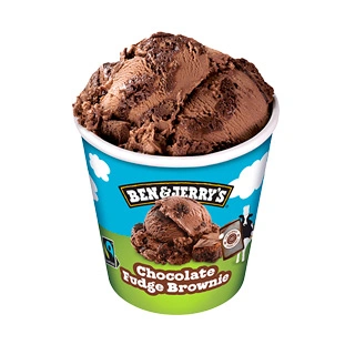 [HECHG] Chocolate Fudge Brownie B&J 465 ml